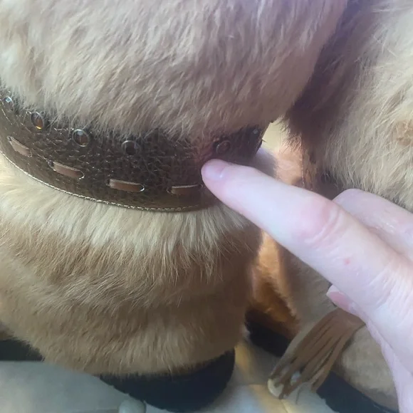 Enzo Angiolini

Pony hair boots Boots - Picture 9 of 9